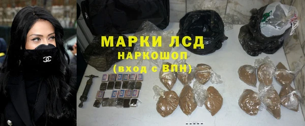PSILOCYBIN Армянск