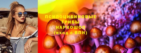 PSILOCYBIN Армянск