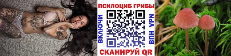 hydra рабочий сайт  купить наркотик  Инта  Псилоцибиновые грибы Psilocybe 